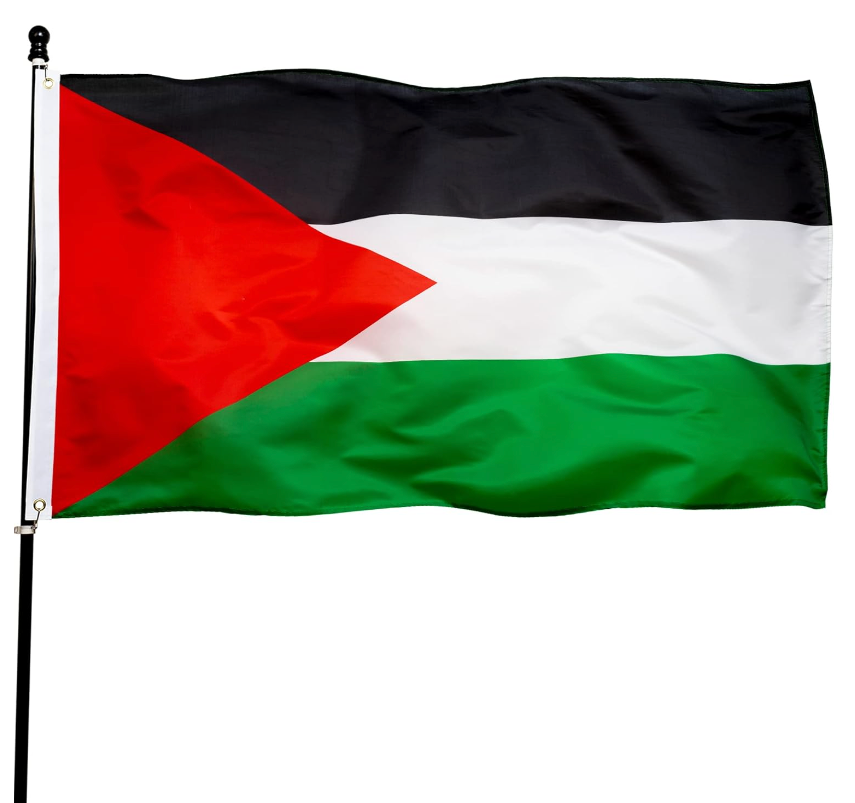 2 x 3 ft (60 x 90 cm) Large Flag | Project Palestine